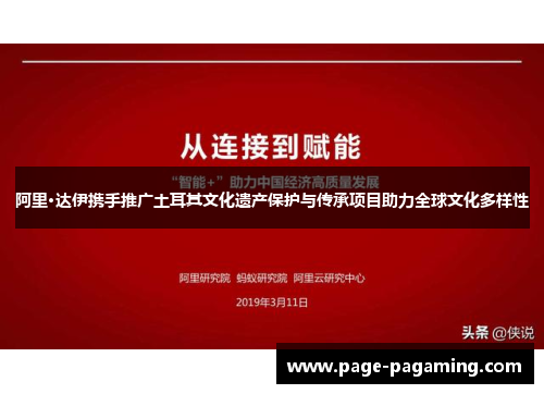 阿里·达伊携手推广土耳其文化遗产保护与传承项目助力全球文化多样性