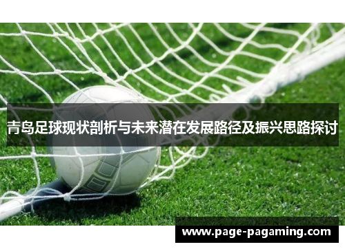 青岛足球现状剖析与未来潜在发展路径及振兴思路探讨
