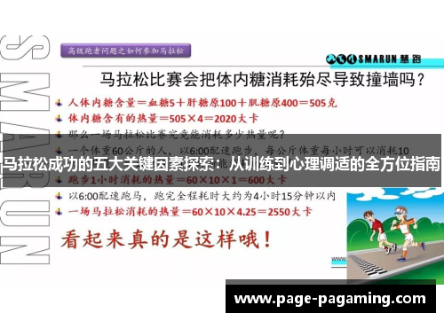 马拉松成功的五大关键因素探索:从训练到心理调适的全方位指南