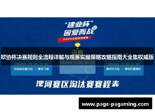 欧协杯决赛规则全流程详解与观赛实操策略攻略指南大全集权威版
