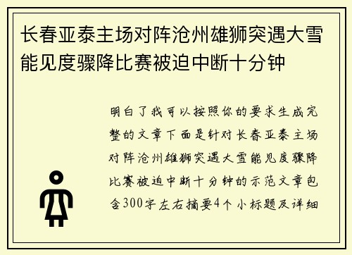 长春亚泰主场对阵沧州雄狮突遇大雪能见度骤降比赛被迫中断十分钟